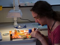 Ceglédi laboratórium
